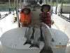 (08/03/2016) - Nice Striped Bass